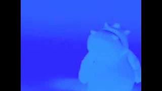 scary hippo and dog