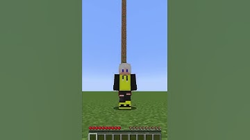 No fall Damage Bug Minecraft 1.19 #shorts