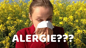 Co jsou bylinkami proti alergiím?
