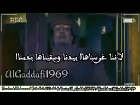 معمر القذافي اين كنتم ياجرذان عندما قصف بيت معمر القذافي في الثمانينات