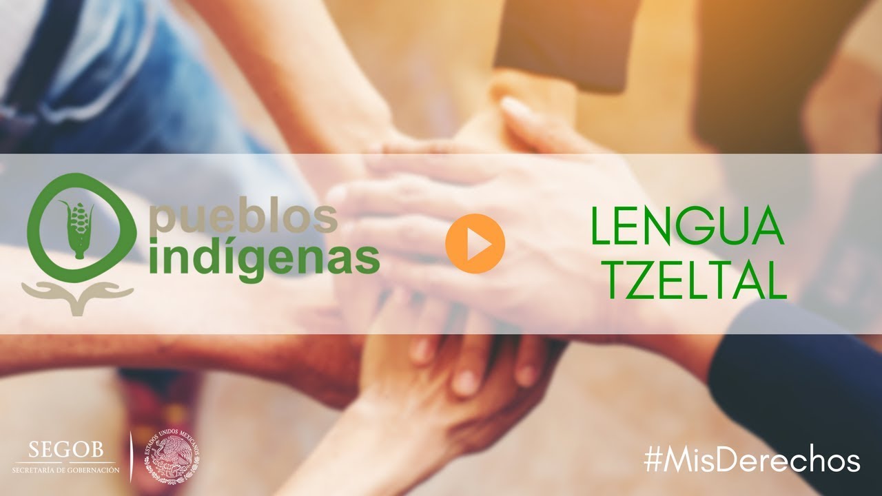 Mis Derechos: Soy una persona indígena (lengua TZELTAL) - YouTube