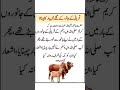 Qurbani ke masail free online Aalima course...🧕🧕🕋🕋