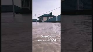 Оренбург весна 2024. Потоп. Затопление. Бобры прогрызли дамбу