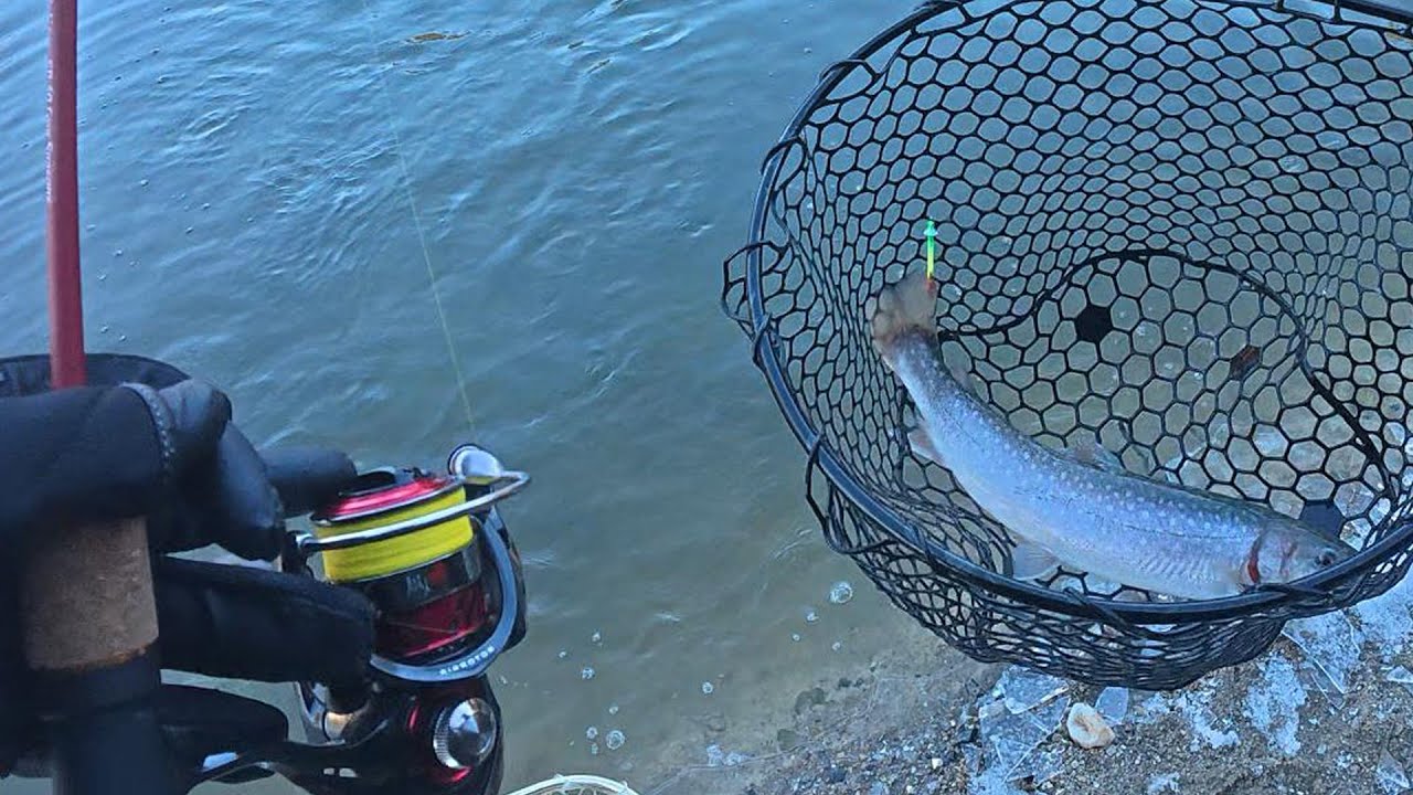 瑞浪フィッシングエリアでエリアトラウト！管理釣り場２度目のチャレンジ！