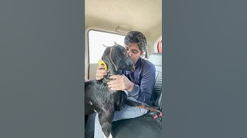 Tag your best friend ❤️🐐😂 #youtubeshorts #comments #share #support