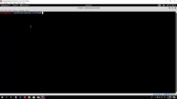 4  Coding a SSH brute forcer