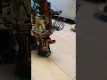 Ewok's trap