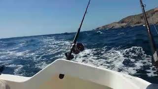 Pesca desde el San Carlos | Torneo de Dorado