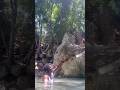 💦 A Secret Waterfall Hidden Deep in Jamaica! 😱🌴