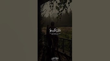 وَتَحسَبونَهُ هَيِّنًا وَهُوَ عِندَ اللَّهِ عَظيمٌ ｜ القارئ أحمد خضر ｜ سورة النور ｜ قرآن كريم