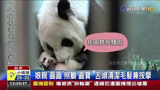 動物園推另類台式按摩圓仔翻身超享受