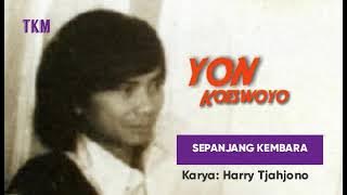 Download lagu YON KOESWOYO - SEPANJANG KEMBARA karya Harry Tjahjono