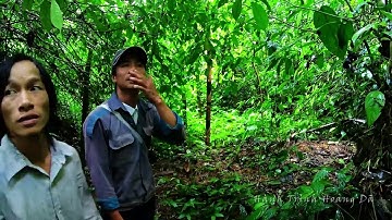 SINH TỒN TRONG RỪNG MƯA NHIỆT ĐỚI • TẬP 2 • DỰNG LÁN