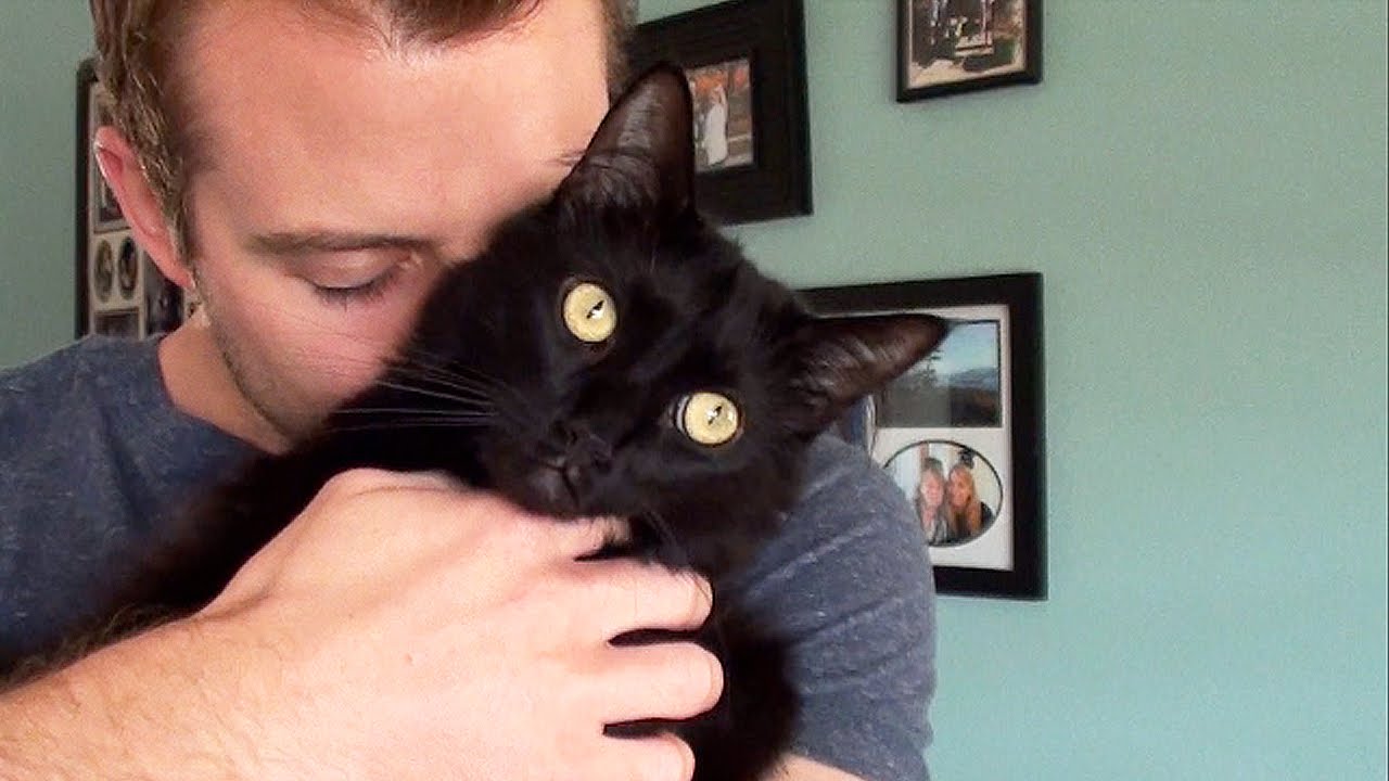 purina cat chow I'm proud to be a Cat Man! #BetterWithPets
