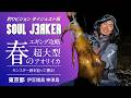 SOUL JERKER 26 伊豆諸島 神津島エリア ~春の超大型アオリイカ攻略! モンスター級を「狙って獲る」ナイトエギング~
