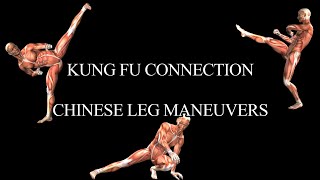 CHINESE LEG MANEUVERS #kungfu #shaolin #breakingnews