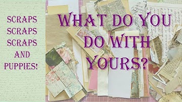 Ideas For Organising and Using Up Paper Scraps. Keeping it Cute - More Puppy Love SIMPLE BEGINNER P1