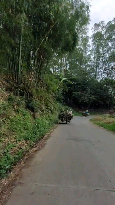 Suasana Jalan Pedesaan di Kaki Gunung Cikuray