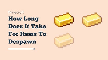 How Long Does It Take For Items To Despawn In Minecraft