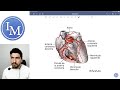 Anatoma  sistema cardiovascular  inductivo a la facultad de medicina