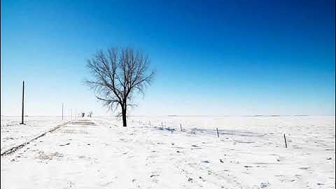 القارئ : شيرزاد طاهر - سورة الفرقان