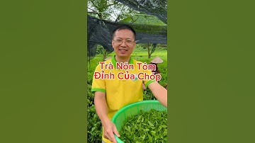 Trà Nõn Tôm - Đỉnh Của Chóp nhé. Liên hệ mua: 0988925926