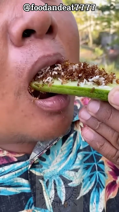 Why Does This Person Eat Ants🤯 #shorts