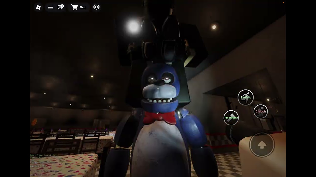 Playing Roblox with my cousin