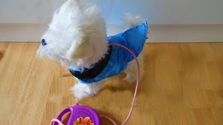 tobar walking westie