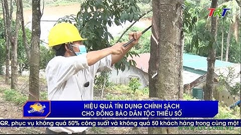 Hiệu quả tín dụng chính sách cho đồng bào dân tộc thiểu số
