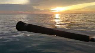 Ngamisin ryobi jigzone di laut Paloh#ryobi #ryobijigzone #mancingmania #mancing 