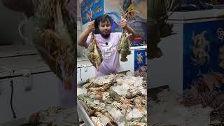 এত বড় লবষ্টার আগে কখনো দেখেছেন? 🦞 #trending #fishing #shorts