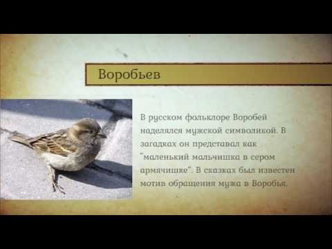 ИСТОРИЯ ОДНОЙ ФАМИЛИИ (ВОРОБЬЁВ)