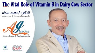 The vital role of vitamin B in dairy cow sector   Part 8
