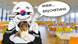 Я собак очень даже люблю.  Из жизни стран COUNTRYHUMANS