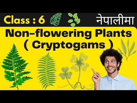 Non-flowering plants [ Cryptogams ] || Class : 6 || Thallophytes || Bryophytes || Pteridophytes