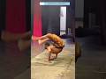 Ep285-Smooth Moves #motionverse #smoothmoves #skills