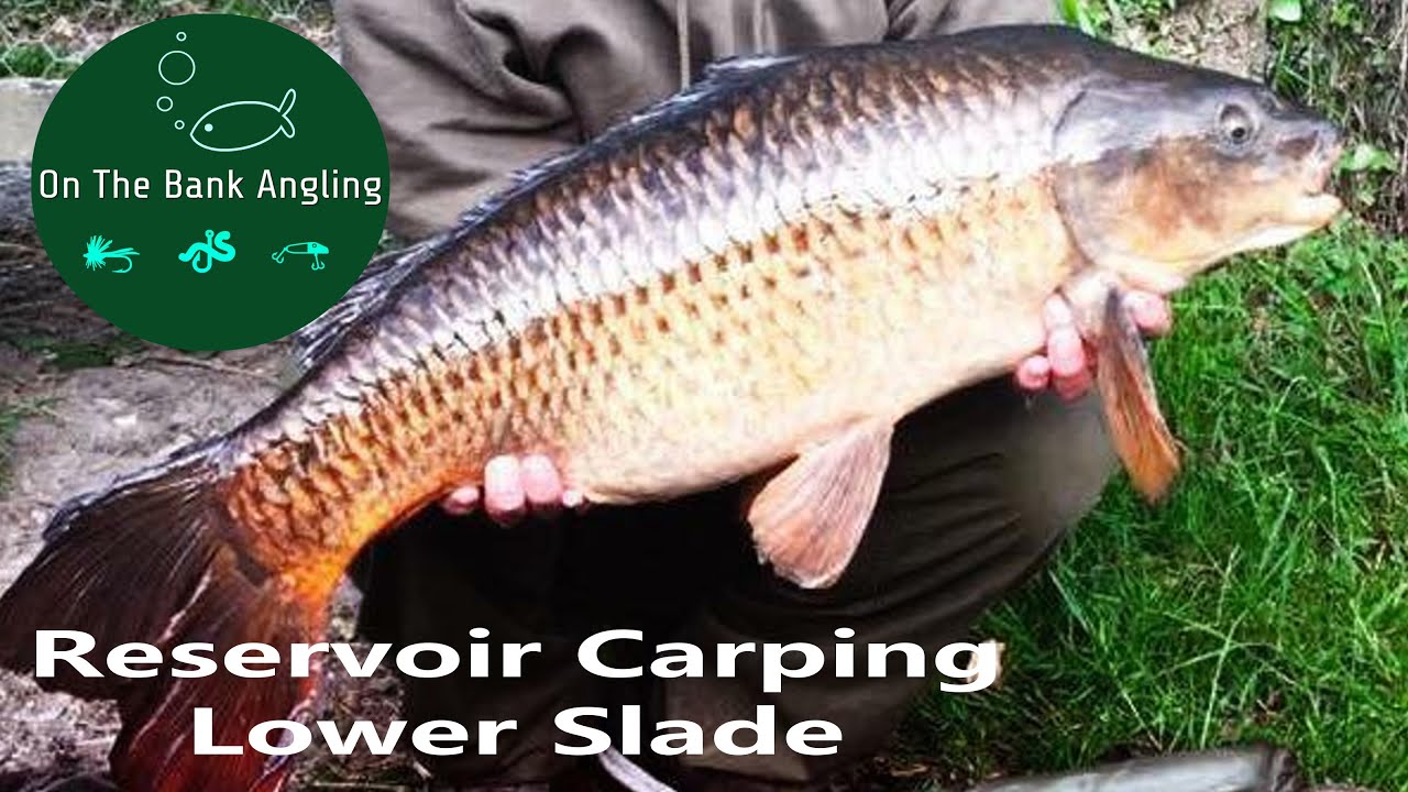 Reservoir Carp Fishing Lower Slade , South West Lakes Trust YouTube