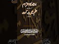 ustad ka aehtram krny sy ilm main barkat aygi #islamicreminder #islamicmotivation #muslimcontent