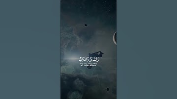 القارئ ياسر دوسري #سورة_الحج #ايات_قرانيه_قصيره #تلاوة_هادئة #ياسر_الدوسري