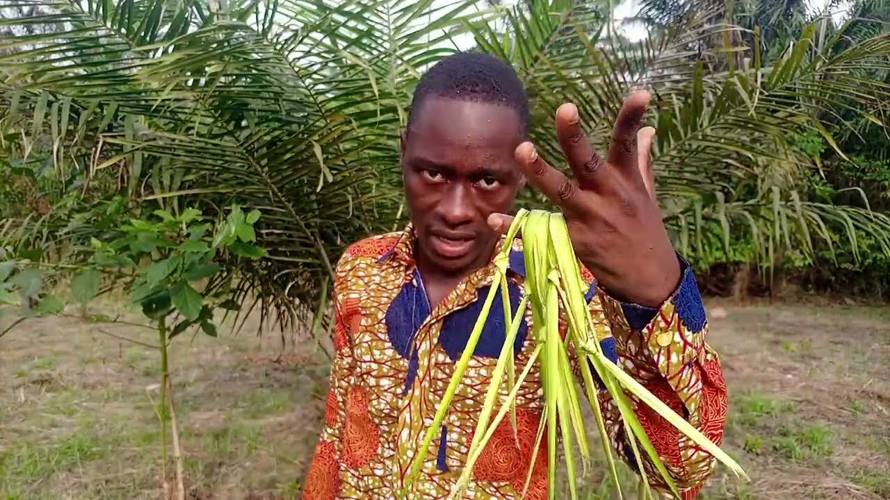 Духовное использование пальмовых листьев. Духовное использование пальмового растения. Духовное ис...