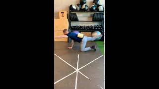 Powerful Core Stability - Bird Dog