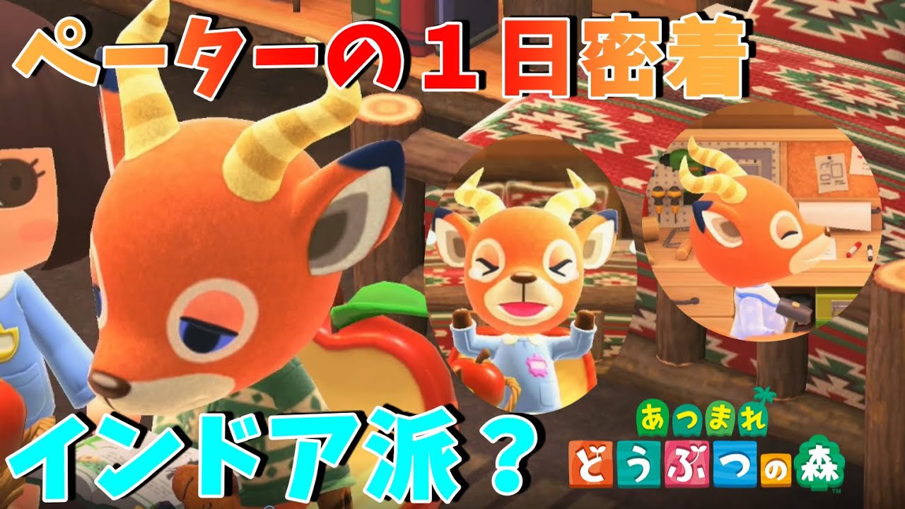 あつまれどうぶつの森 シベリア ペーター フランソワ(ゆん) あつ森】ペーターの1日に密着したら可愛すぎた！【あつまれ