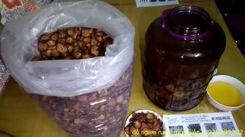 Táo mèo, táo mèo rừng, bình rượu táo mèo, táo mèo tươi, táo mèo khô, hướng dẫn ngâm rượu táo mèo