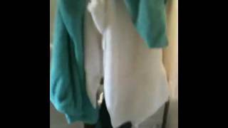 Roscoe Destroys Bathroom