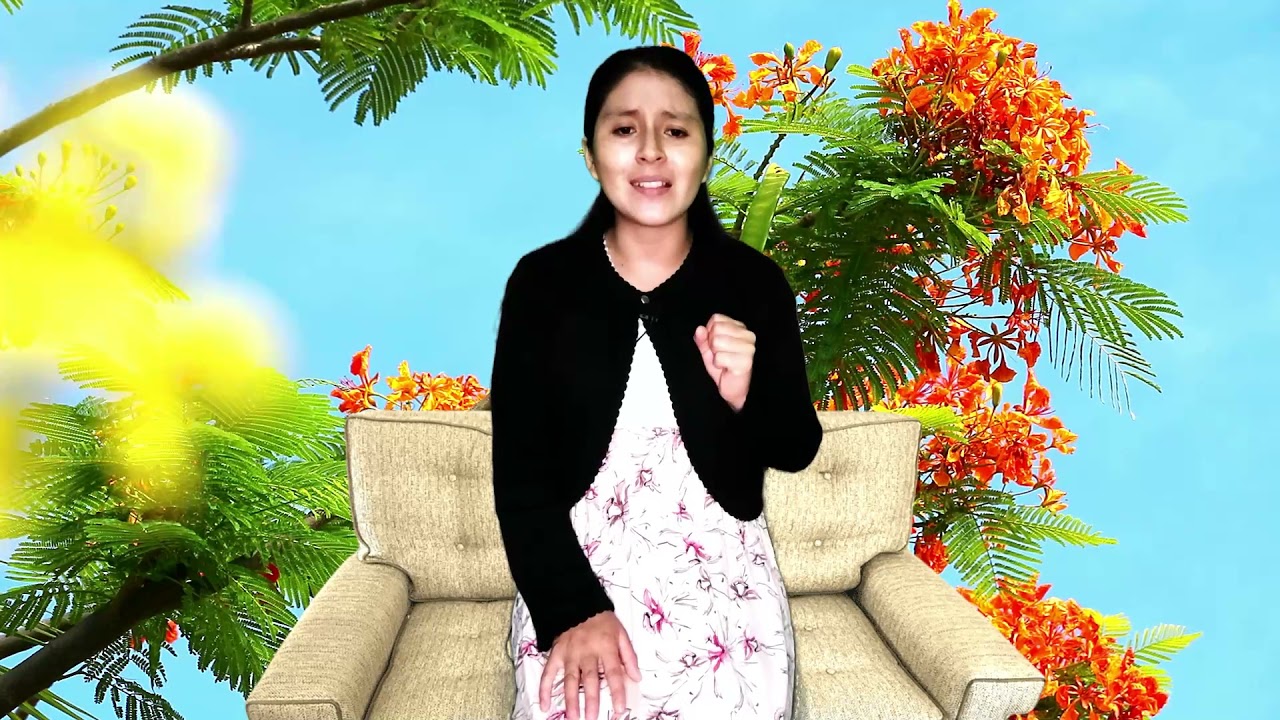 🎵 CRISTO ES EL CAMINO, LA VERDAD Y LA VIDA ❤️ ALABANZAS Que TOCARÁN Tu CORAZÓN✔️🔥🥰