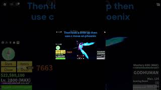How to do Phoenix combo v2 (short version) #combo #bloxfruits #phoenixfruit #pvpbloxfruits #roblox