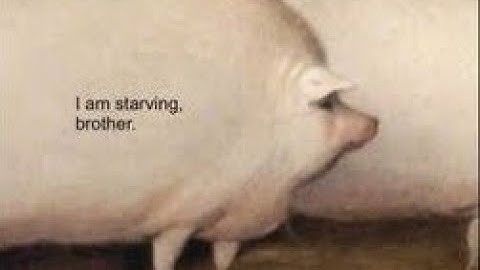 brother may I have some oats