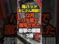 【2025年12月】パチ屋で激写された衝撃の瞬間3選 #パチンコ #スロット