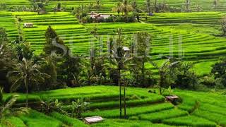 BACK SOUND Cinematic  music bebas ( NO COPYRIGHT )SEMELEH